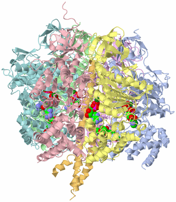 Image Asym./Biol. Unit