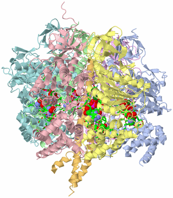 Image Asym./Biol. Unit - sites