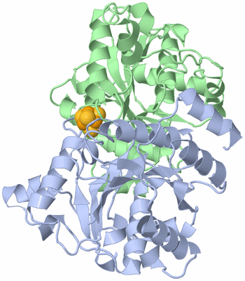 Image Asym./Biol. Unit