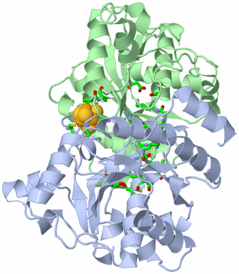 Image Asym./Biol. Unit - sites