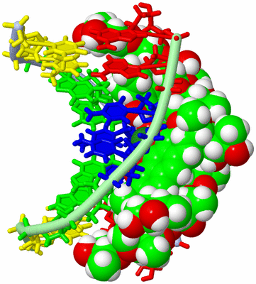 Image NMR Structure - model 1