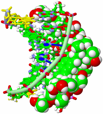 Image NMR Structure - model 1, sites