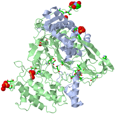 Image Biol. Unit 1 - sites