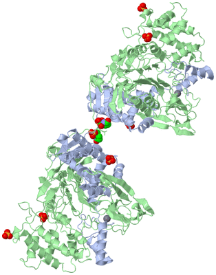 Image Biological Unit 2