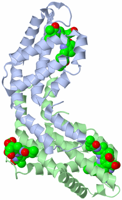 Image Biological Unit 1