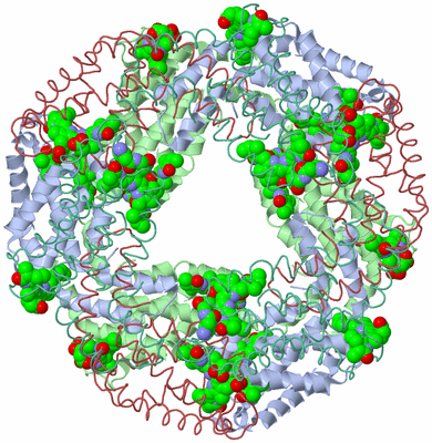 Image Biological Unit 3