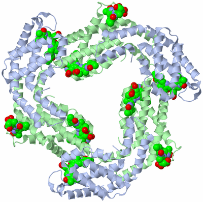 Image Biological Unit 4