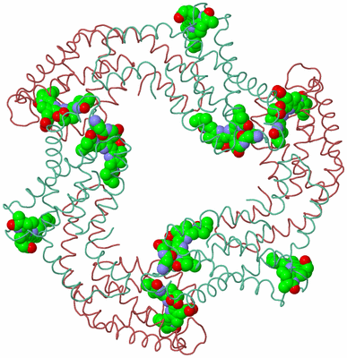 Image Biological Unit 5