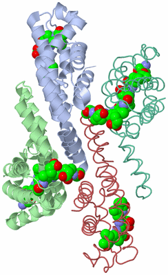 Image Biological Unit 6