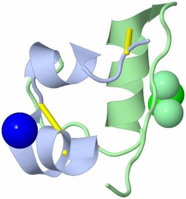 Image Biological Unit 1