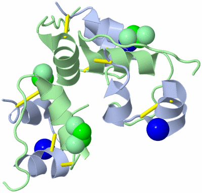 Image Biological Unit 2