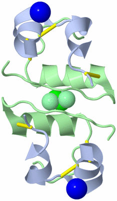 Image Biological Unit 3