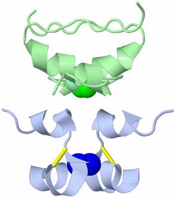 Image Biological Unit 4