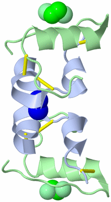 Image Biological Unit 5