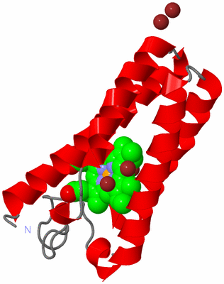 Image Asym./Biol. Unit