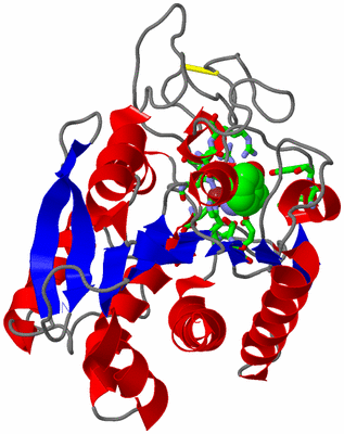 Image Asym./Biol. Unit - sites