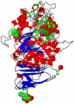 Image Asym./Biol. Unit - sites