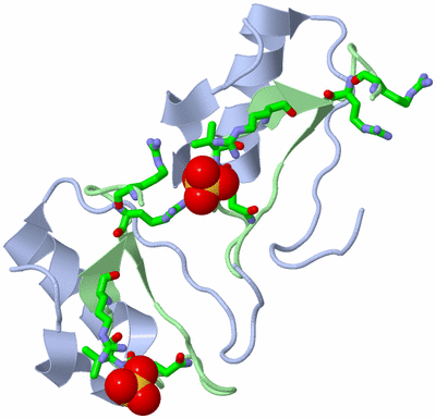 Image Biol. Unit 1 - sites