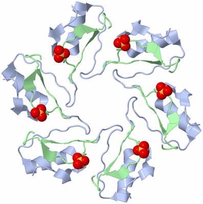 Image Biological Unit 2