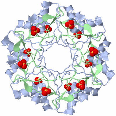 Image Biological Unit 3