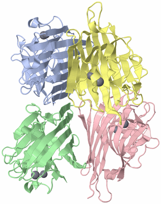 Image Asym./Biol. Unit