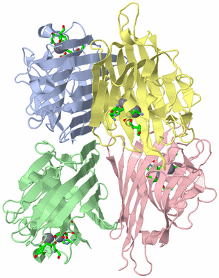 Image Asym./Biol. Unit - sites