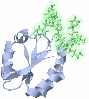 Image NMR Structure - model 1