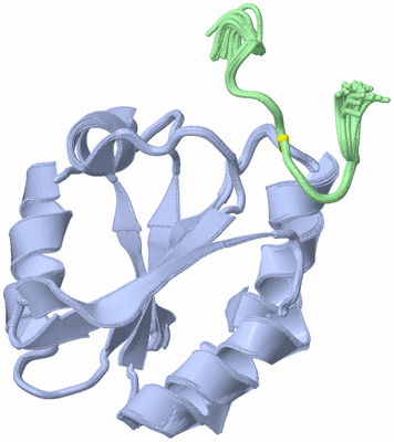 Image NMR Structure - all models