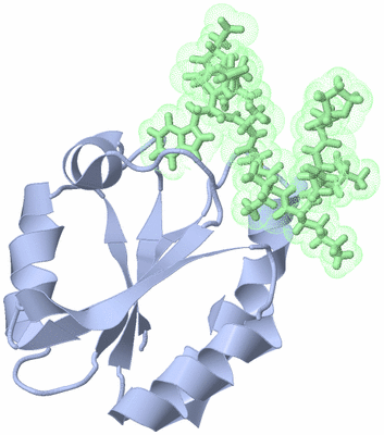 Image NMR Structure - model 1