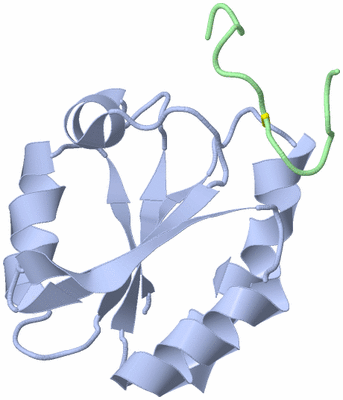 Image NMR Structure - all models