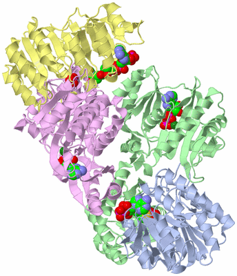 Image Asym./Biol. Unit