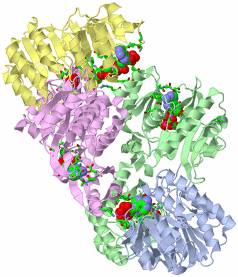 Image Asym./Biol. Unit - sites