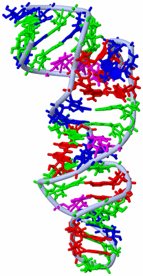 Image NMR Structure - model 1