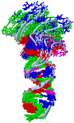 Image NMR Structure - all models