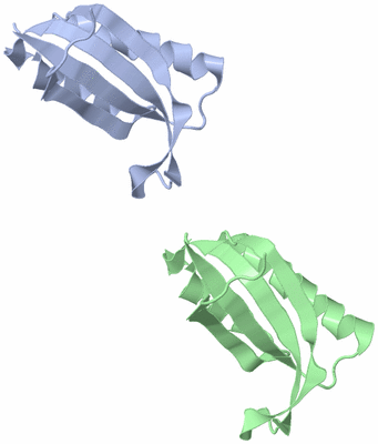 Image Asymmetric Unit