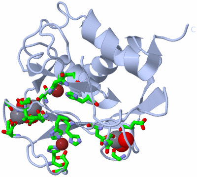 Image Biol. Unit 1 - sites