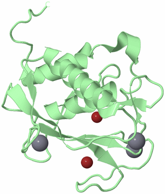 Image Biological Unit 2