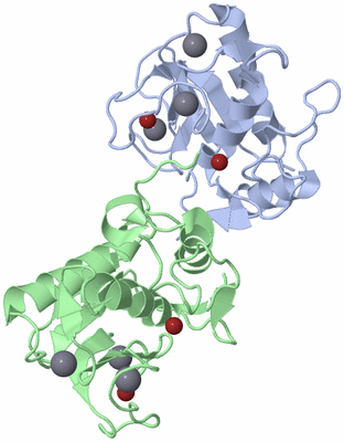 Image Biological Unit 3