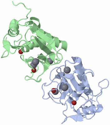 Image Biological Unit 4