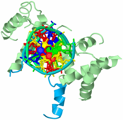 Image Biological Unit 2