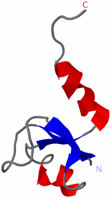 Image NMR Structure - model 1