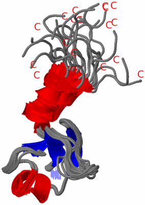 Image NMR Structure - all models