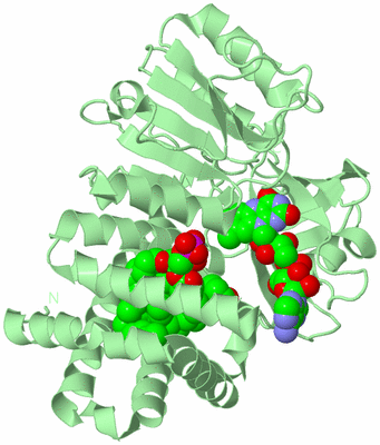 Image Biological Unit 2