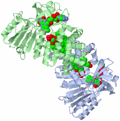 Image Biological Unit 3