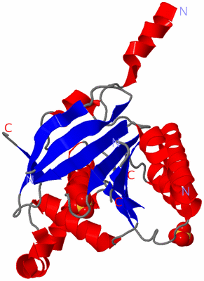 Image Asymmetric Unit