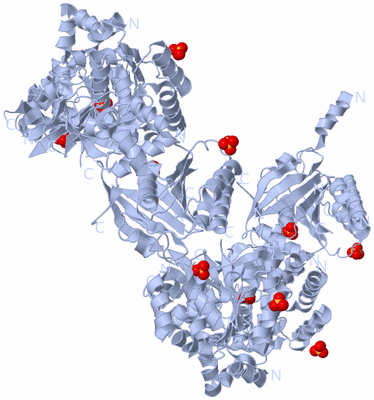Image Biological Unit 1