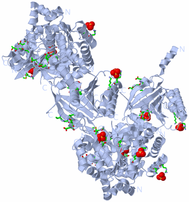 Image Biol. Unit 1 - sites
