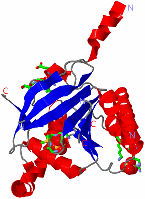 Image Asym. Unit - sites