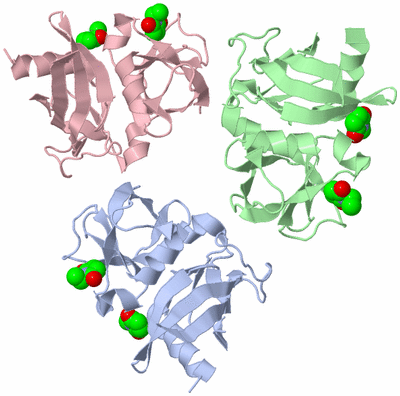 Image Asymmetric Unit