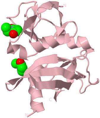 Image Biological Unit 3